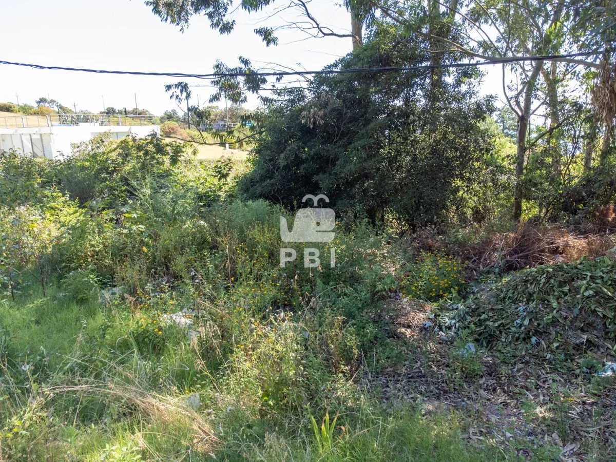 Terreno en Piriápolis, propiedad 296453 -Imagen 18