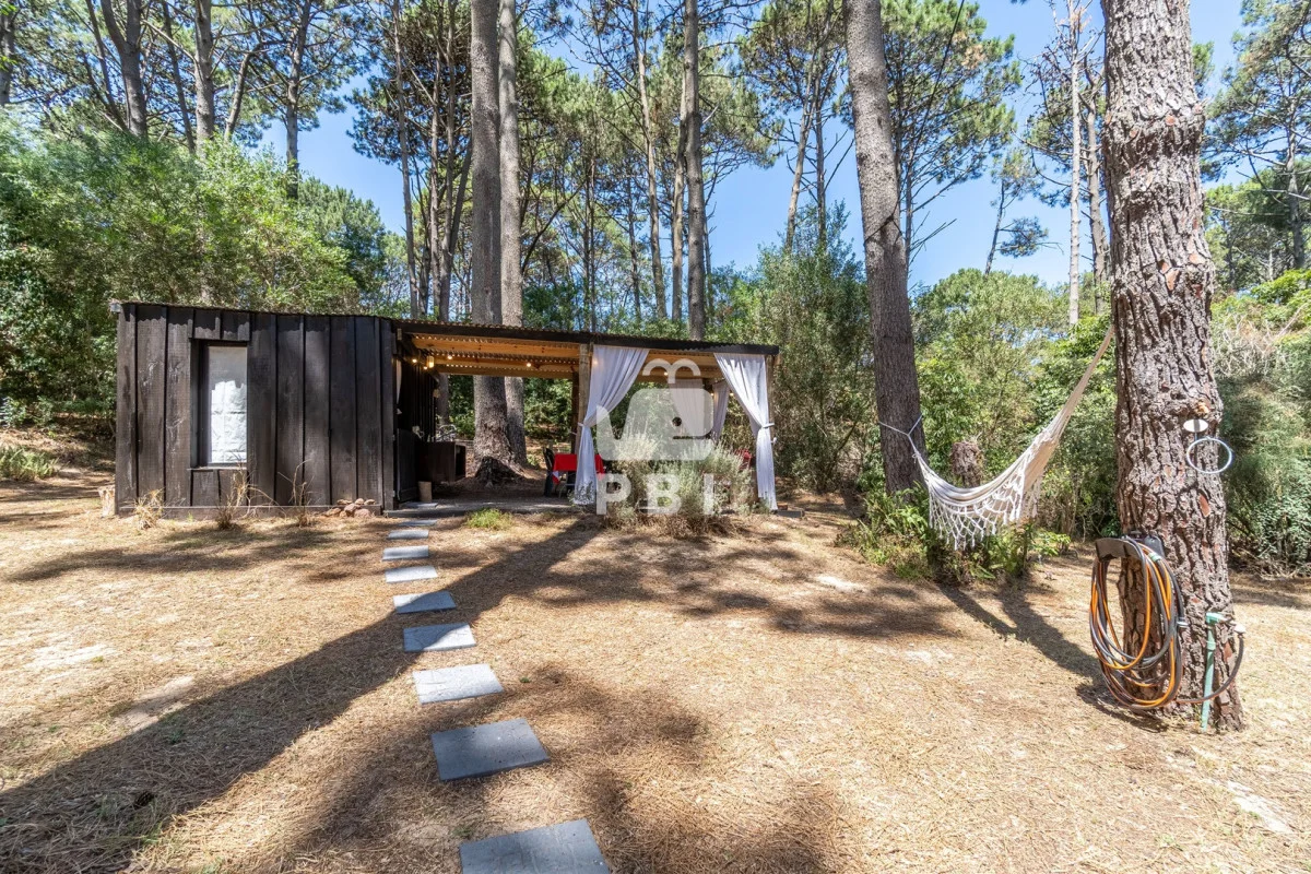 Casa en Punta Ballena, propiedad 297276 -Imagen 14