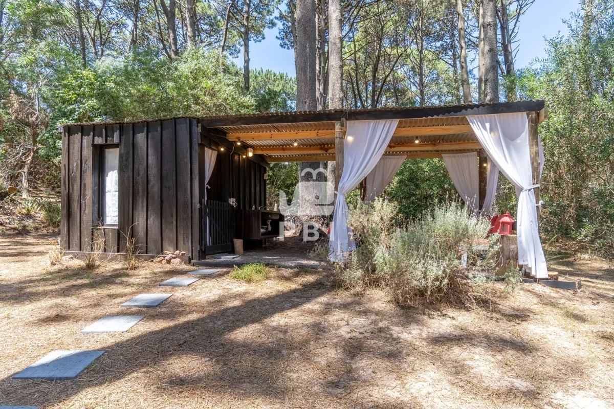 Casa en Punta Ballena, propiedad 297276 -Imagen 15
