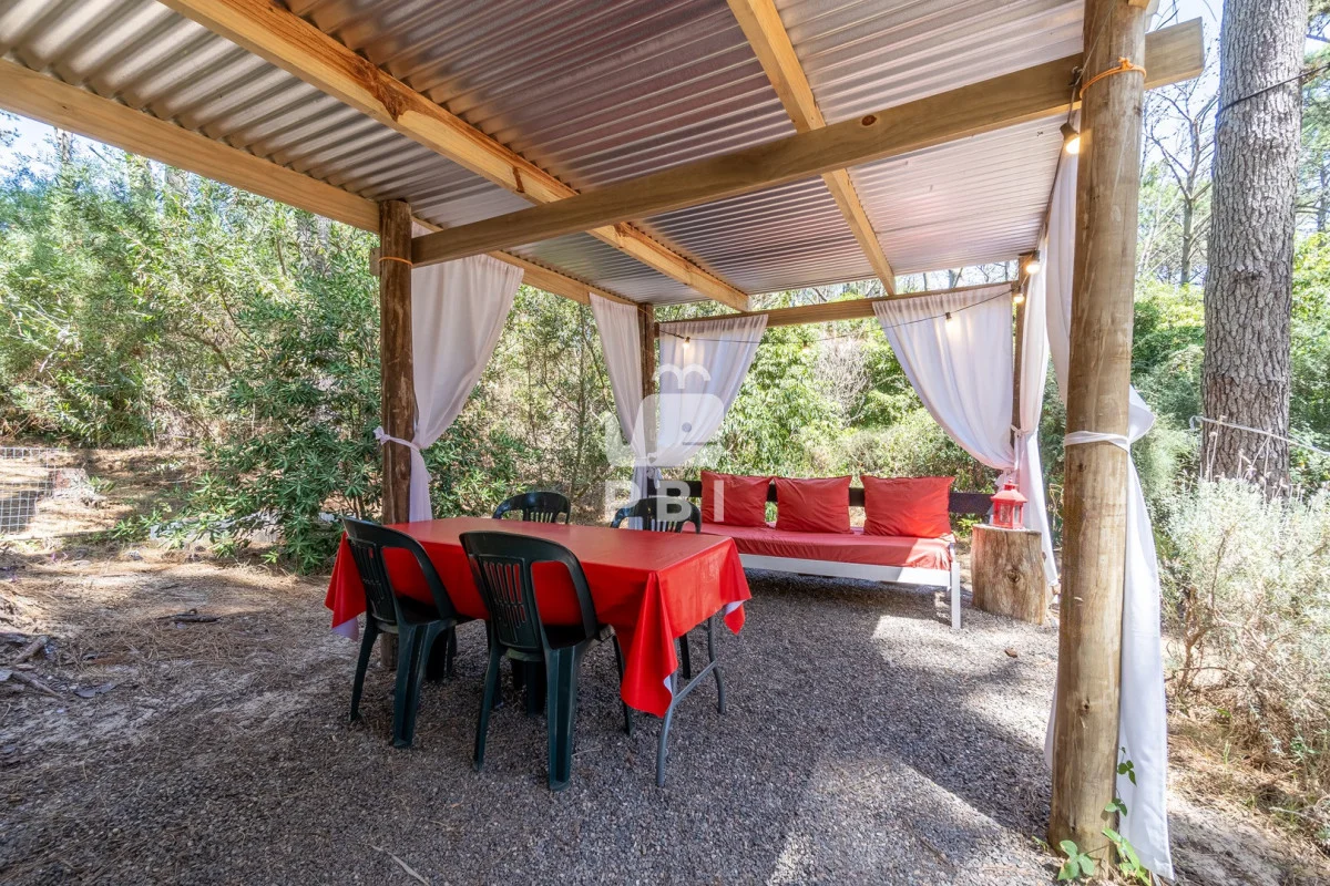 Casa en Punta Ballena, propiedad 297276 -Imagen 16