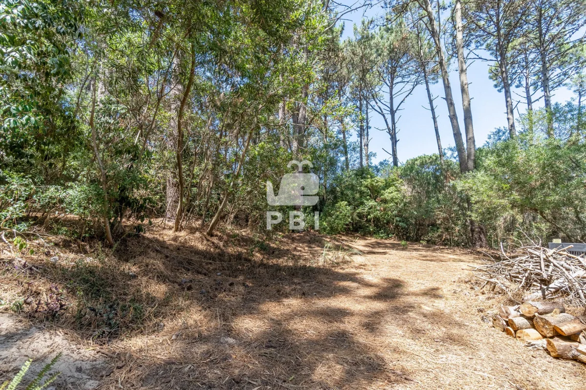 Casa en Punta Ballena, propiedad 297276 -Imagen 19