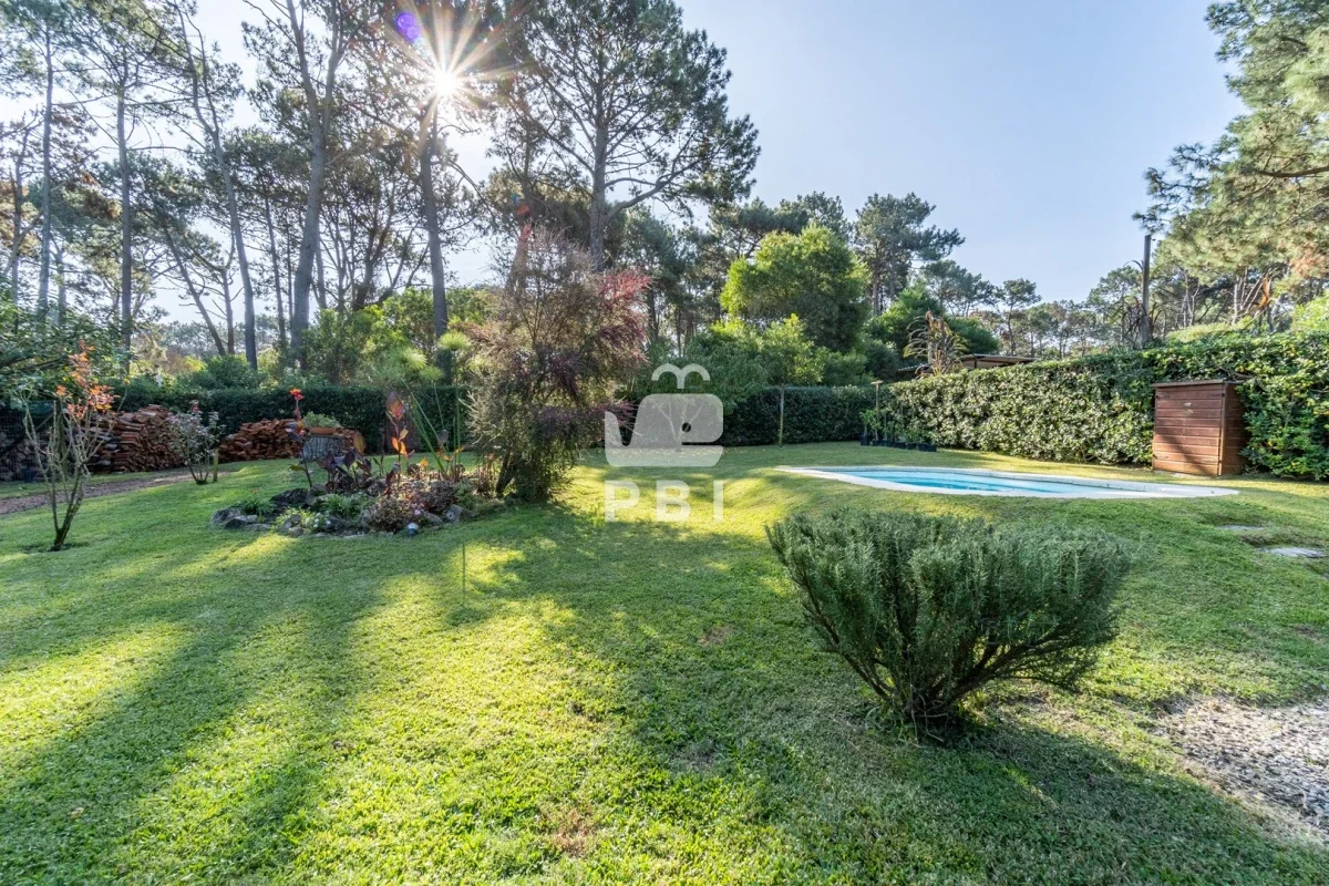 Casa en Punta Ballena, propiedad 300800 -Imagen 22