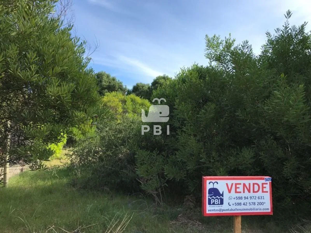 Terreno en Tio Tom, propiedad 61792 -Imagen 2