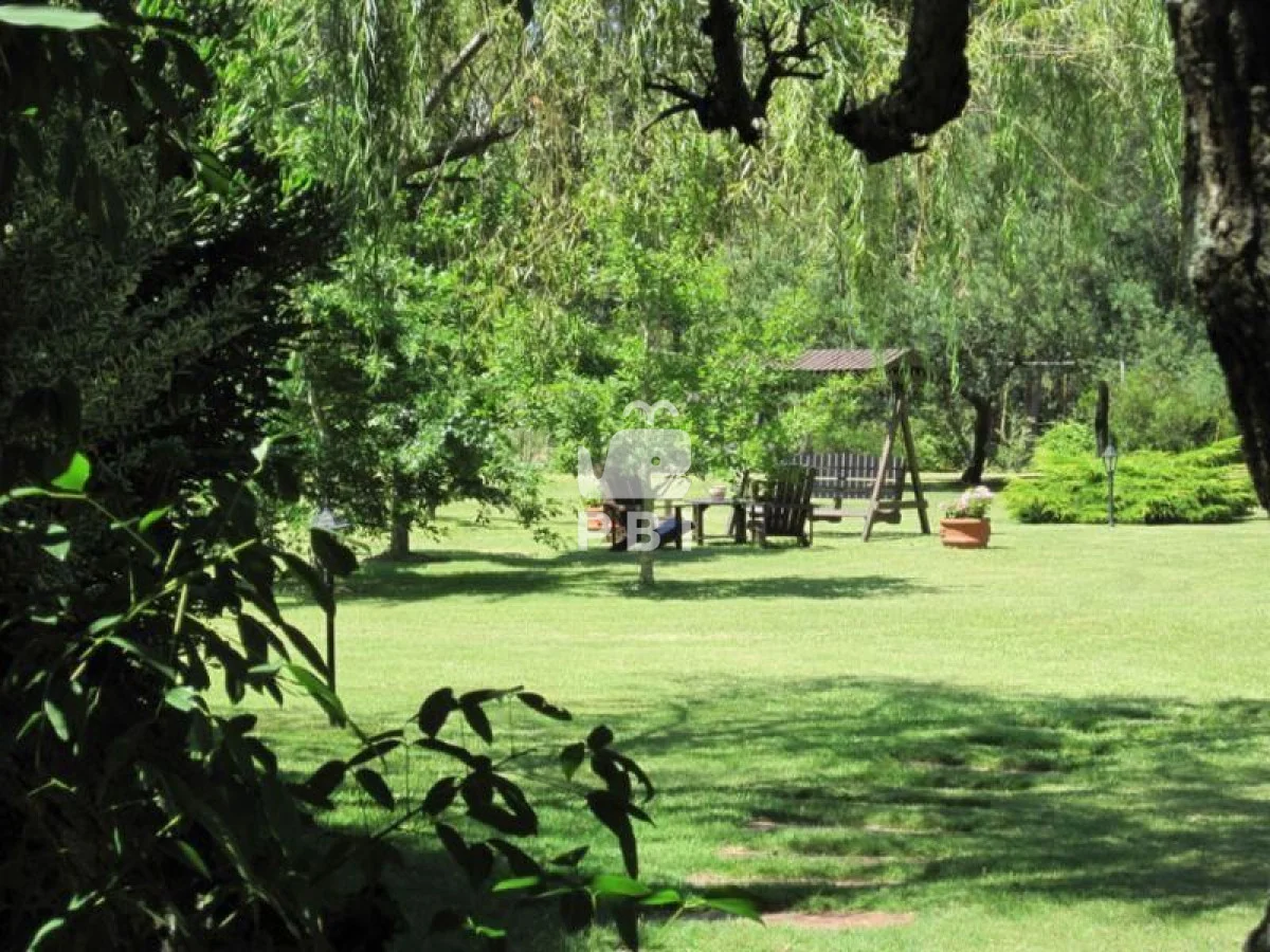 Chacra en Punta Ballena, propiedad 61852 -Imagen 23
