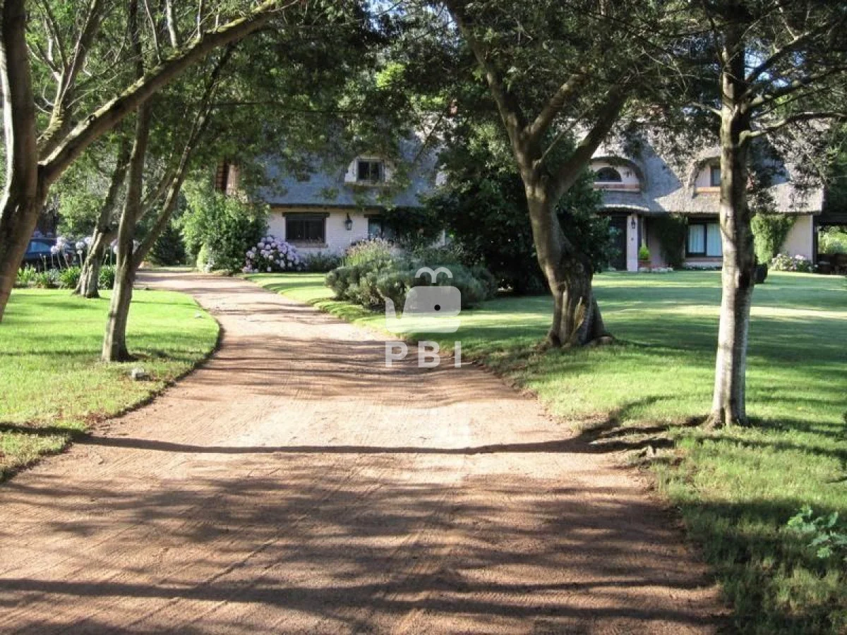 Chacra en Punta Ballena, propiedad 61852 -Imagen 6