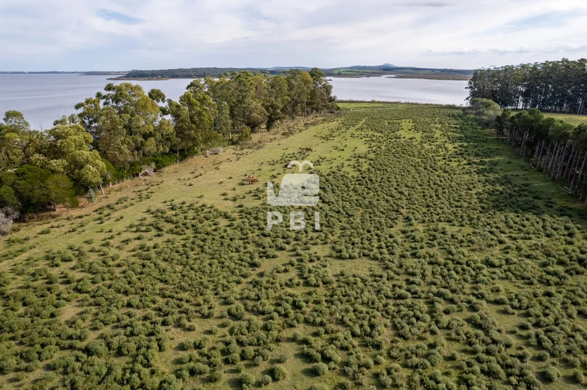 Chacra en Laguna del Sauce, propiedad 61964 -Imagen 7