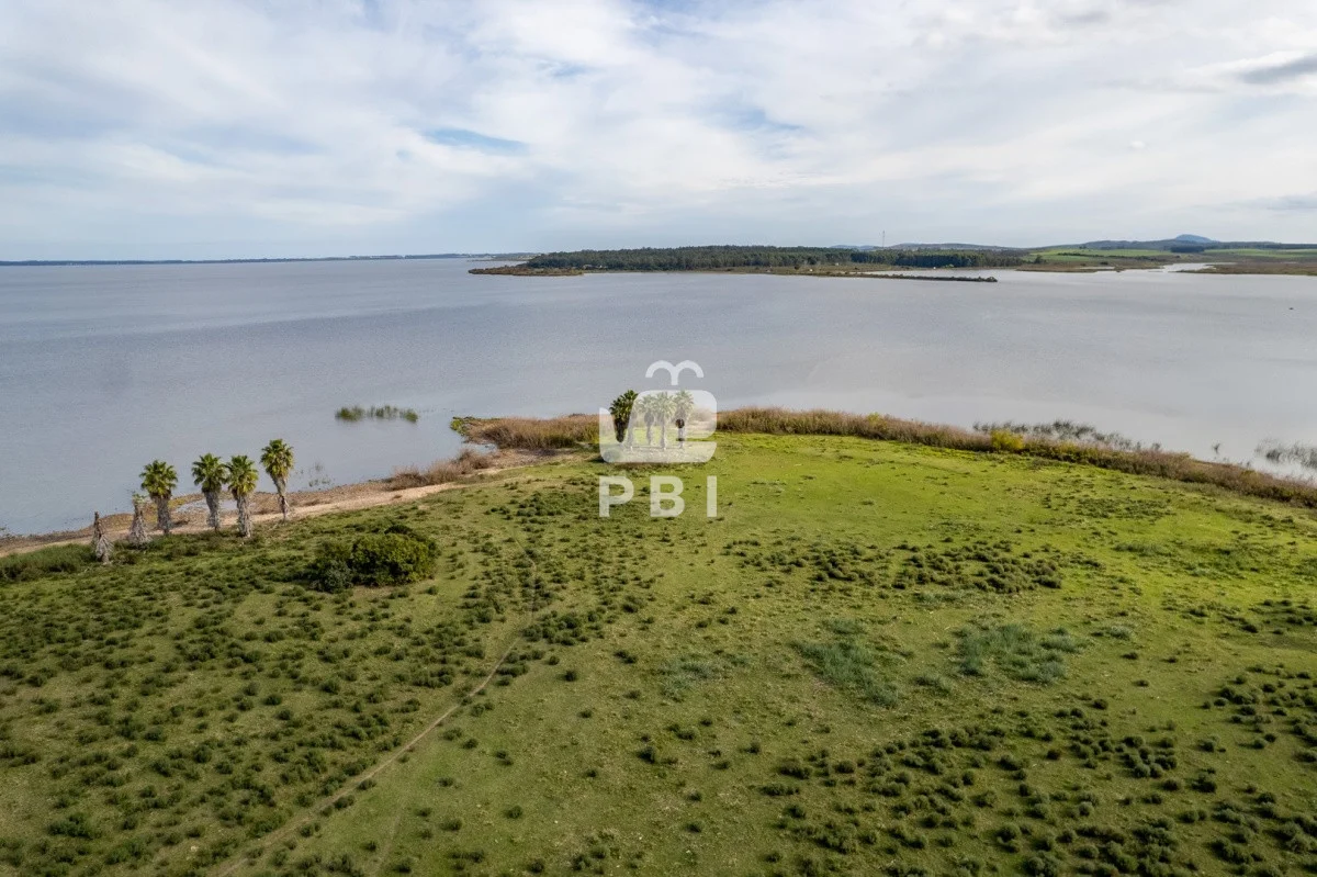 Chacra en Laguna del Sauce, propiedad 61964 -Imagen 8