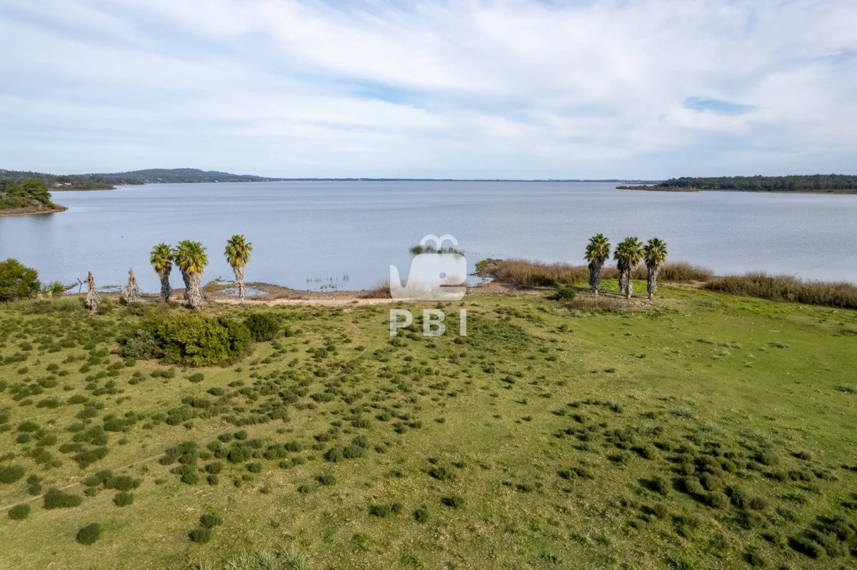 Chacra en Laguna del Sauce, propiedad 61964 -Imagen 9