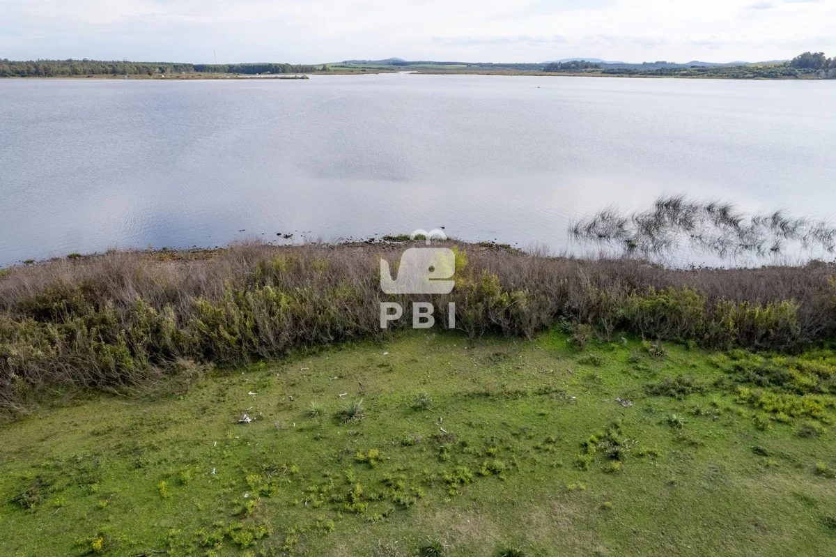 Chacra en Laguna del Sauce, propiedad 61964 -Imagen 10