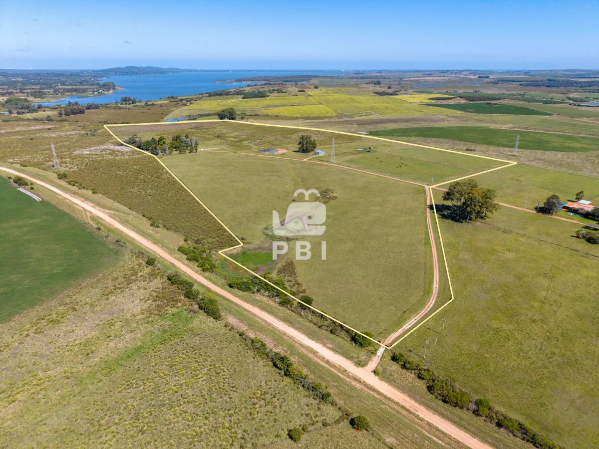 Chacra en Punta Ballena, propiedad 62032 -Imagen 3