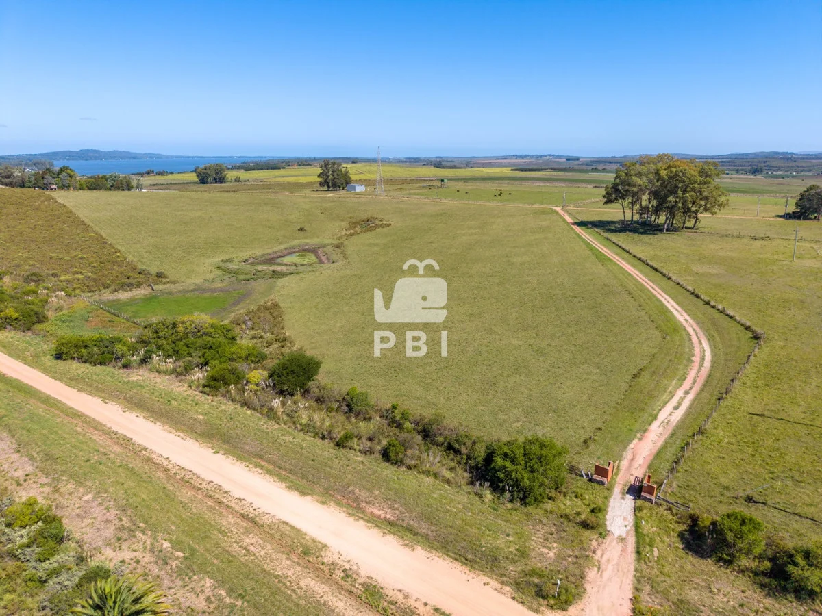 Chacra en Punta Ballena, propiedad 62032 -Imagen 4