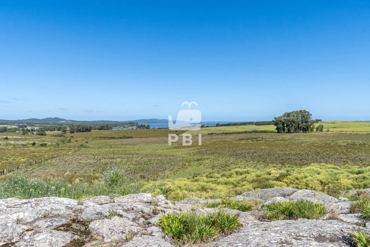 Chacra en Punta Ballena, propiedad 62032 -Imagen 9