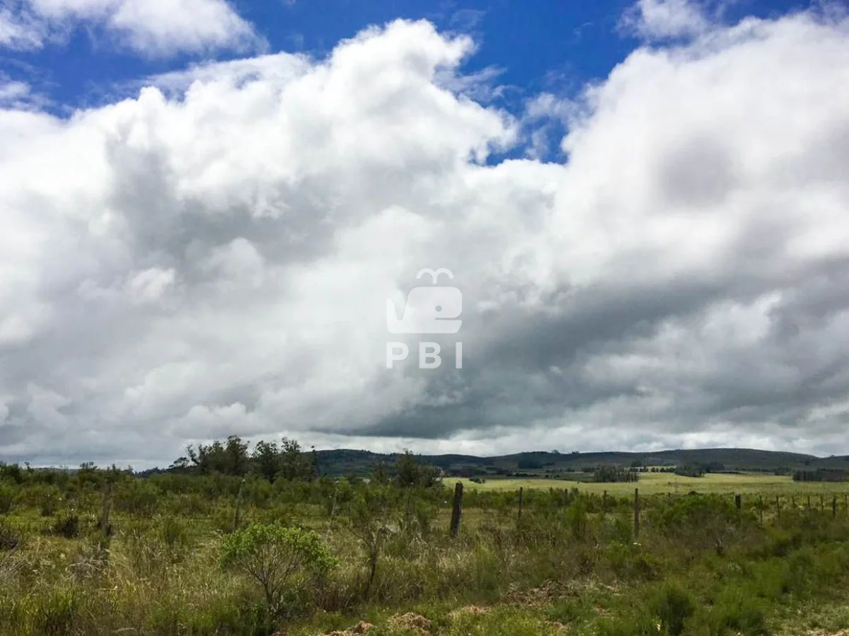 Chacra en Punta Ballena, propiedad 62064 -Imagen 3