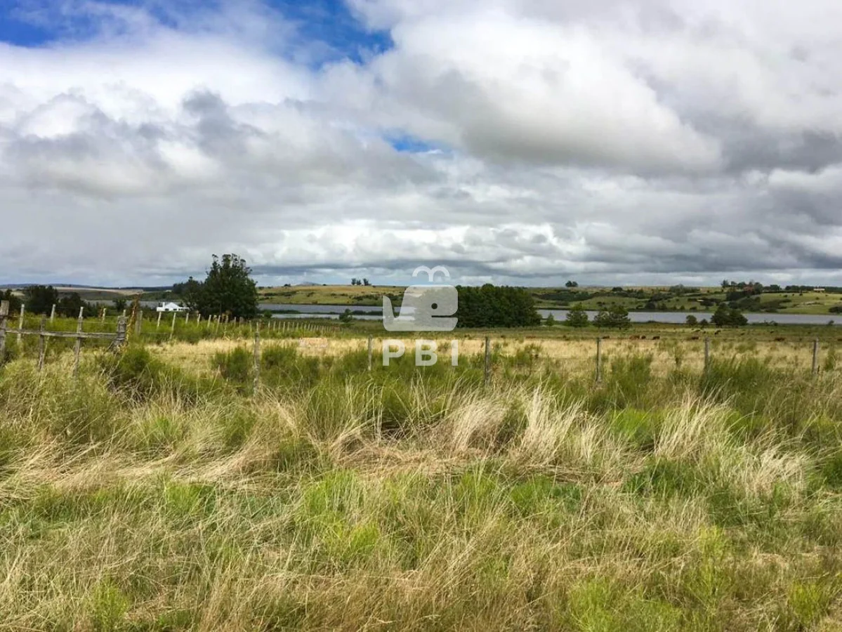 Chacra en Punta Ballena, propiedad 62064 -Imagen 4
