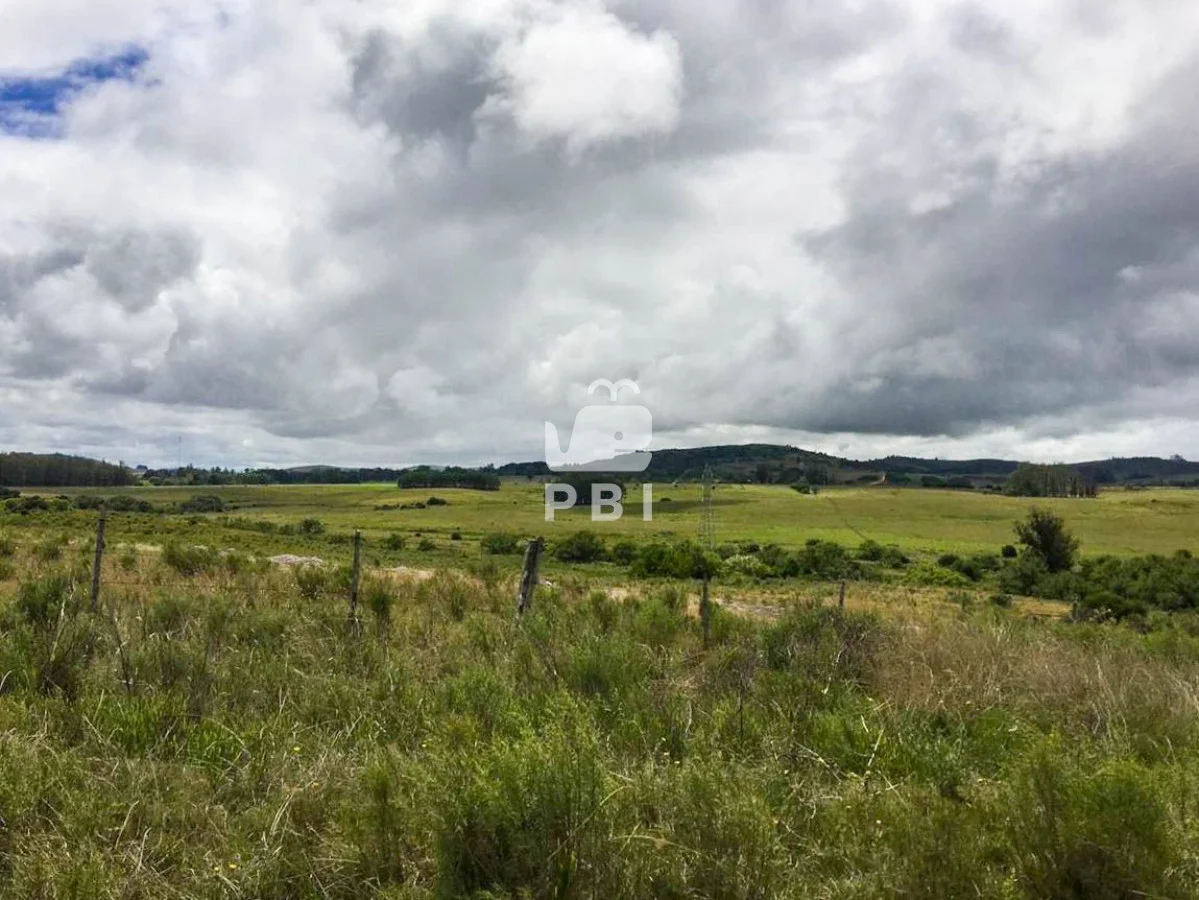 Chacra en Punta Ballena, propiedad 62064 -Imagen 5