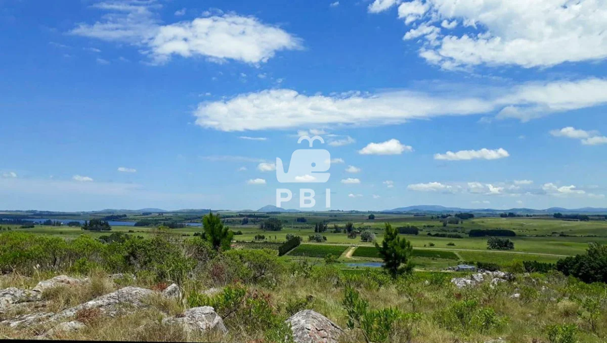Chacra en Punta Ballena, propiedad 62064 -Imagen 6