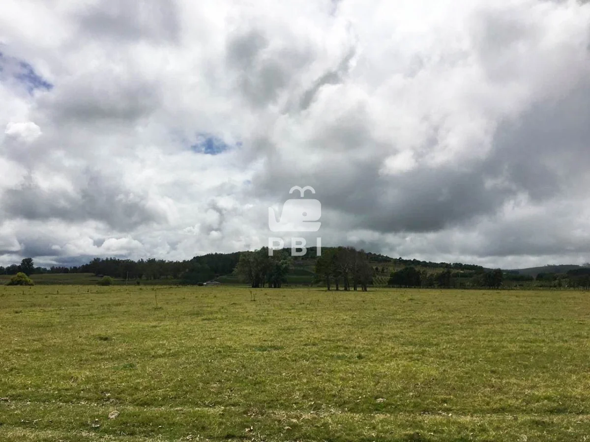 Chacra en Punta Ballena, propiedad 62064 -Imagen 7