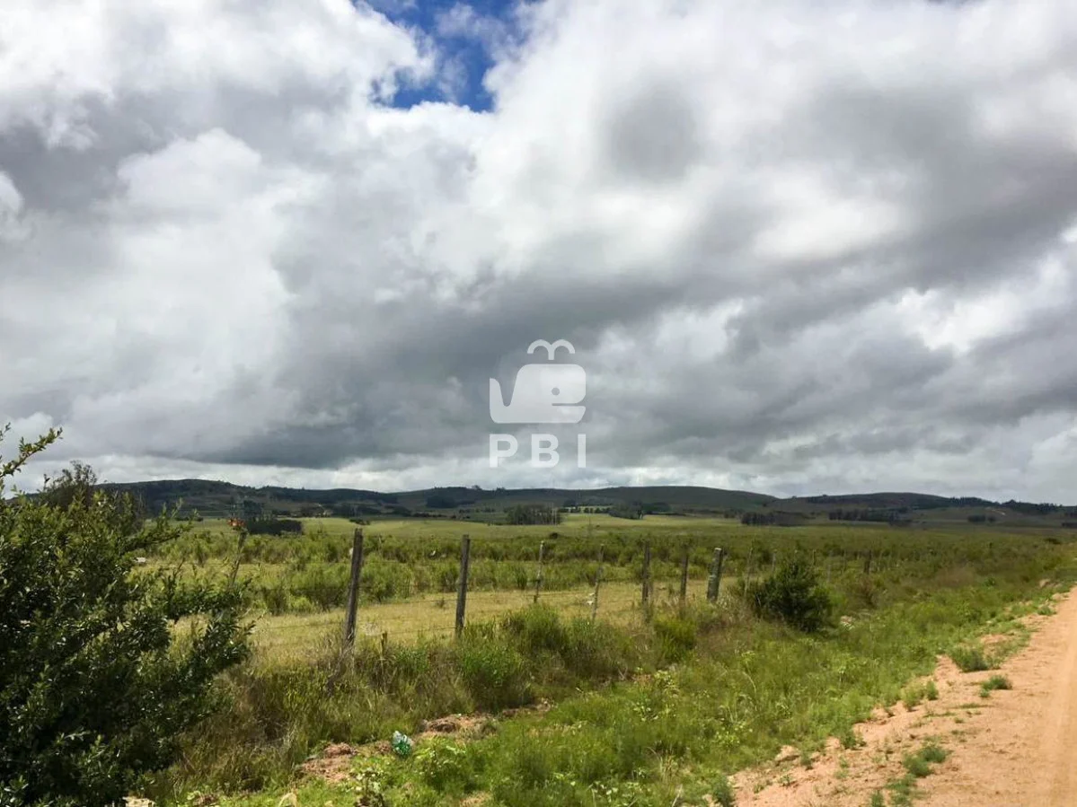 Chacra en Punta Ballena, propiedad 62064 -Imagen 8