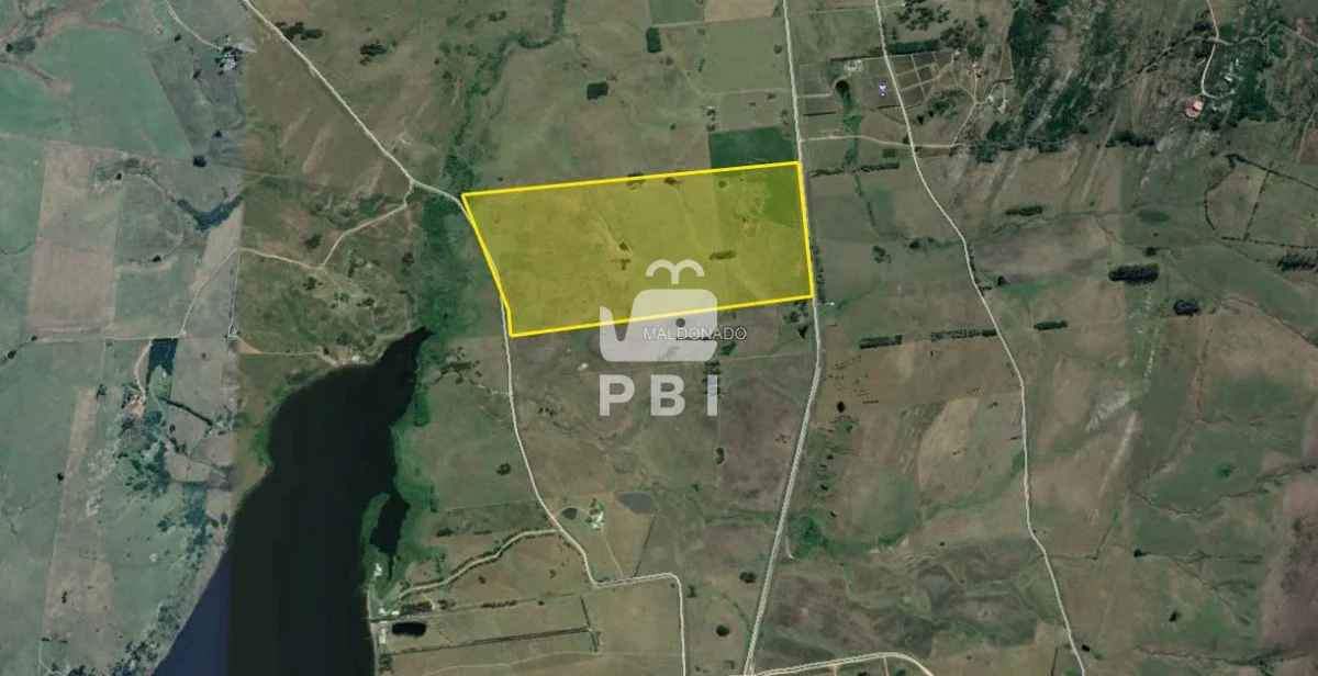 Chacra en Punta Ballena, propiedad 62064 -Imagen 9