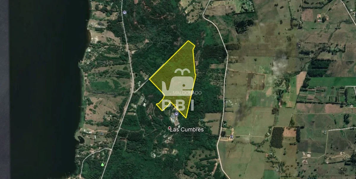 Chacra en Punta Ballena, propiedad 62065 -Imagen 2