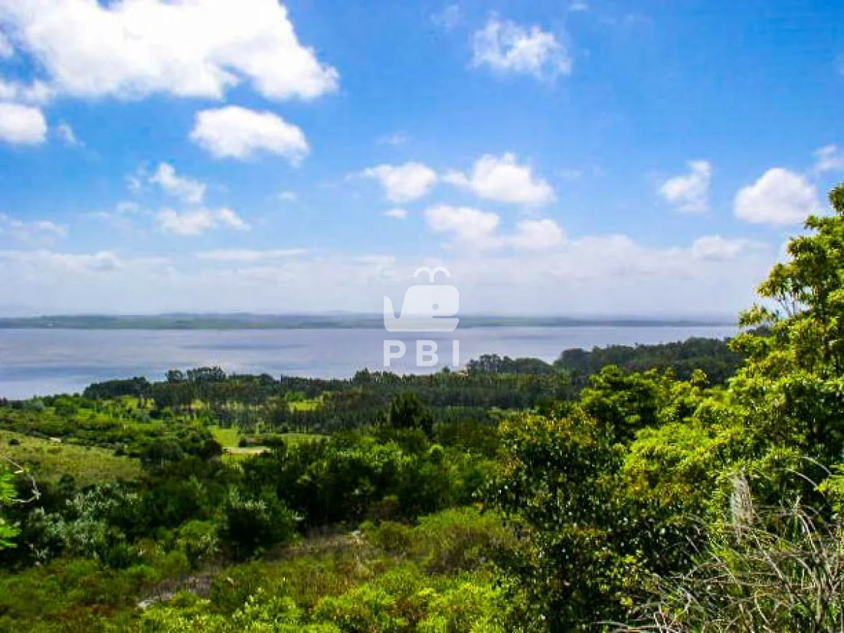Chacra en Punta Ballena, propiedad 62065 -Imagen 3
