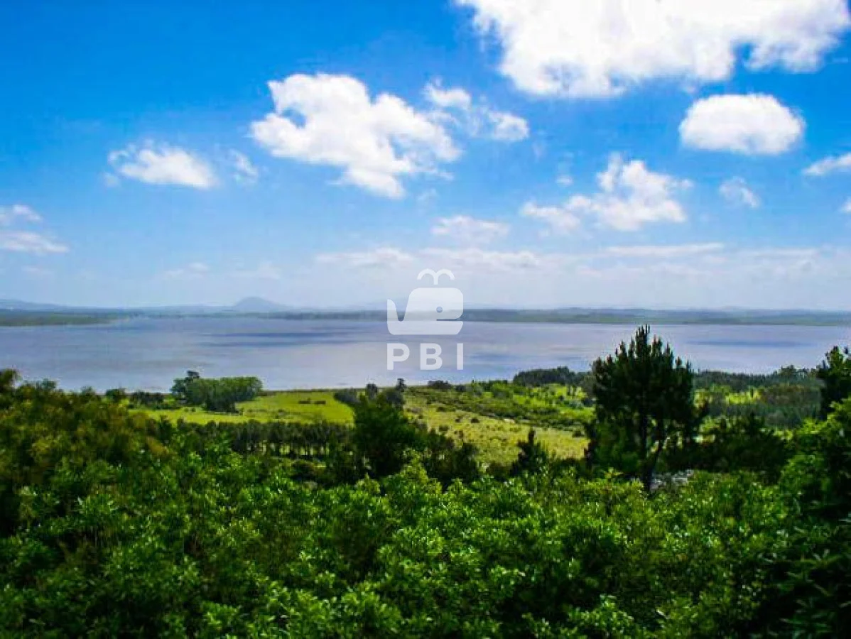 Chacra en Punta Ballena, propiedad 62065 -Imagen 4