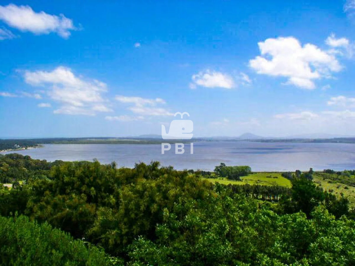 Chacra en Punta Ballena, propiedad 62065 -Imagen 5