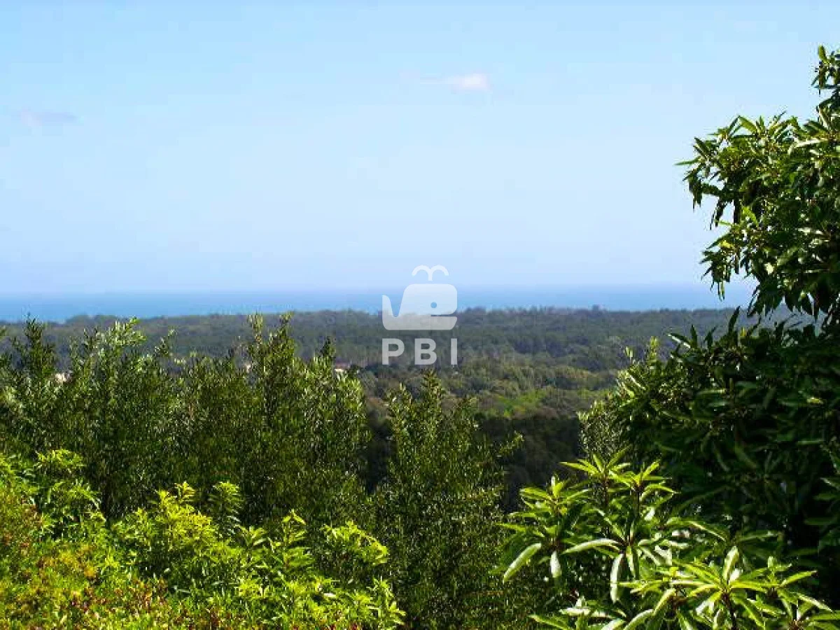Chacra en Punta Ballena, propiedad 62065 -Imagen 6