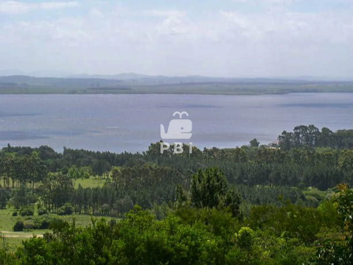 Chacra en Punta Ballena, propiedad 62065 -Imagen 7