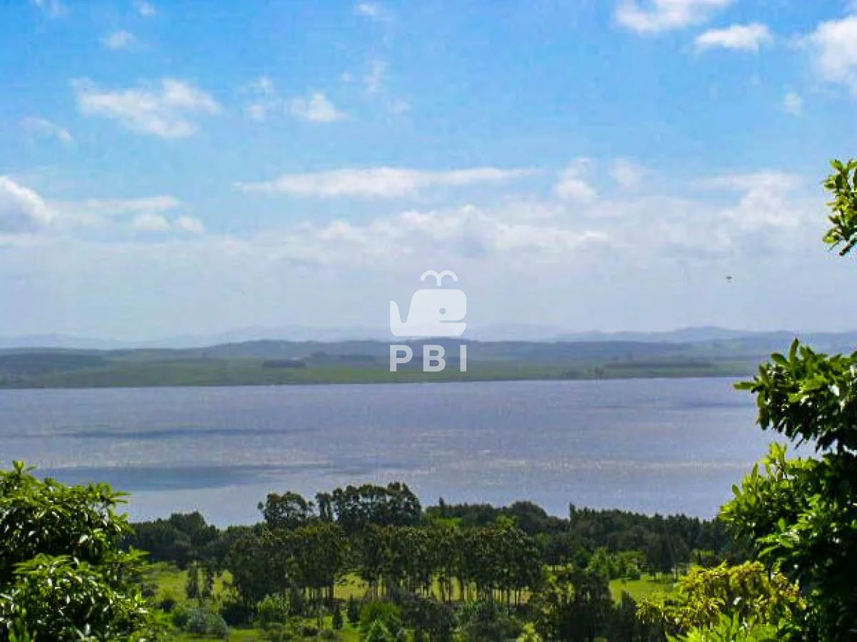 Chacra en Punta Ballena, propiedad 62065 -Imagen 10