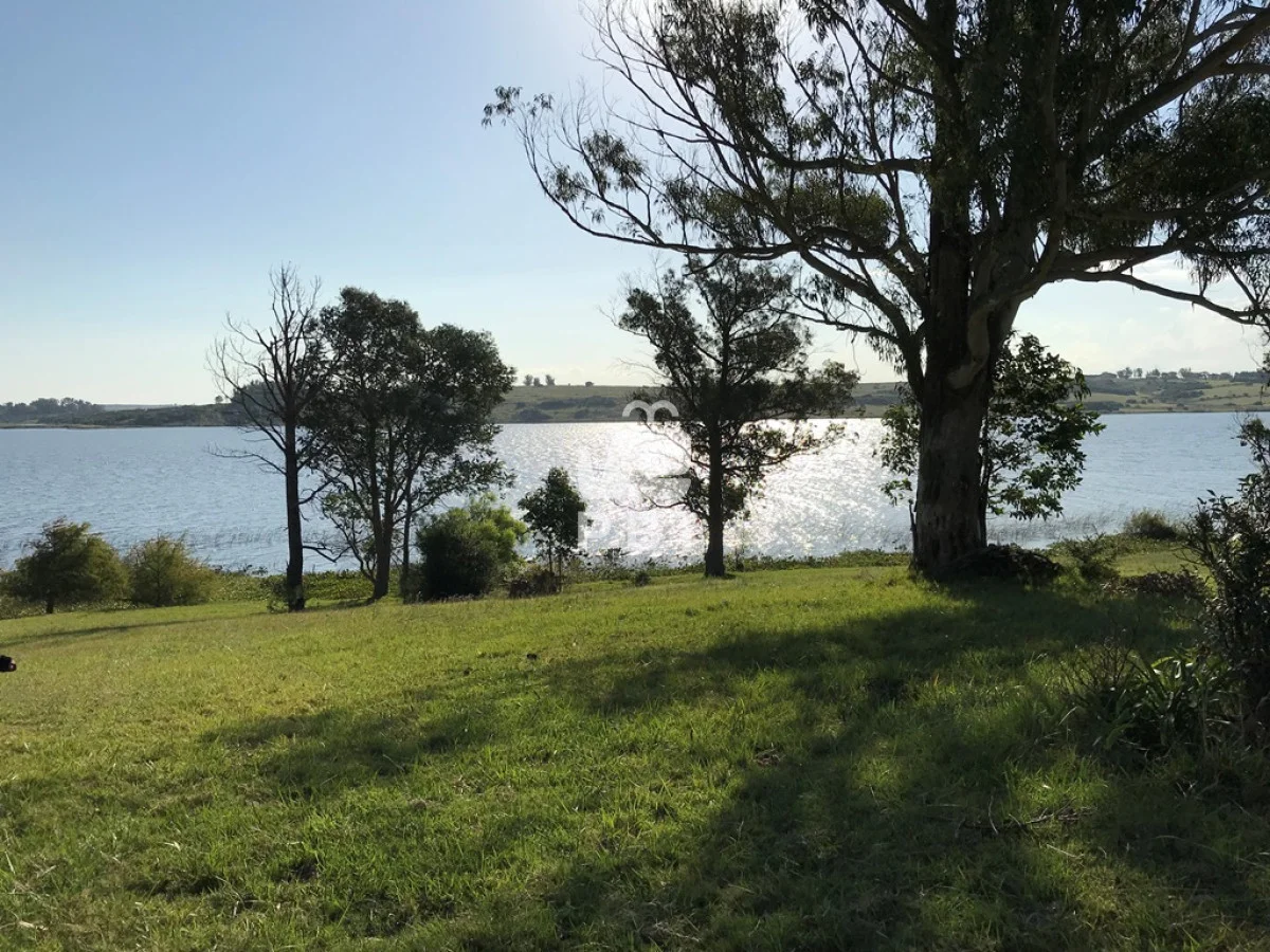 Chacra en Laguna del Sauce, propiedad 62220 -Imagen 16