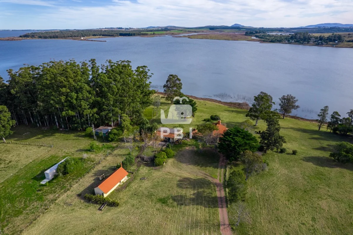 Chacra en Laguna del Sauce, propiedad 62220 -Imagen 7