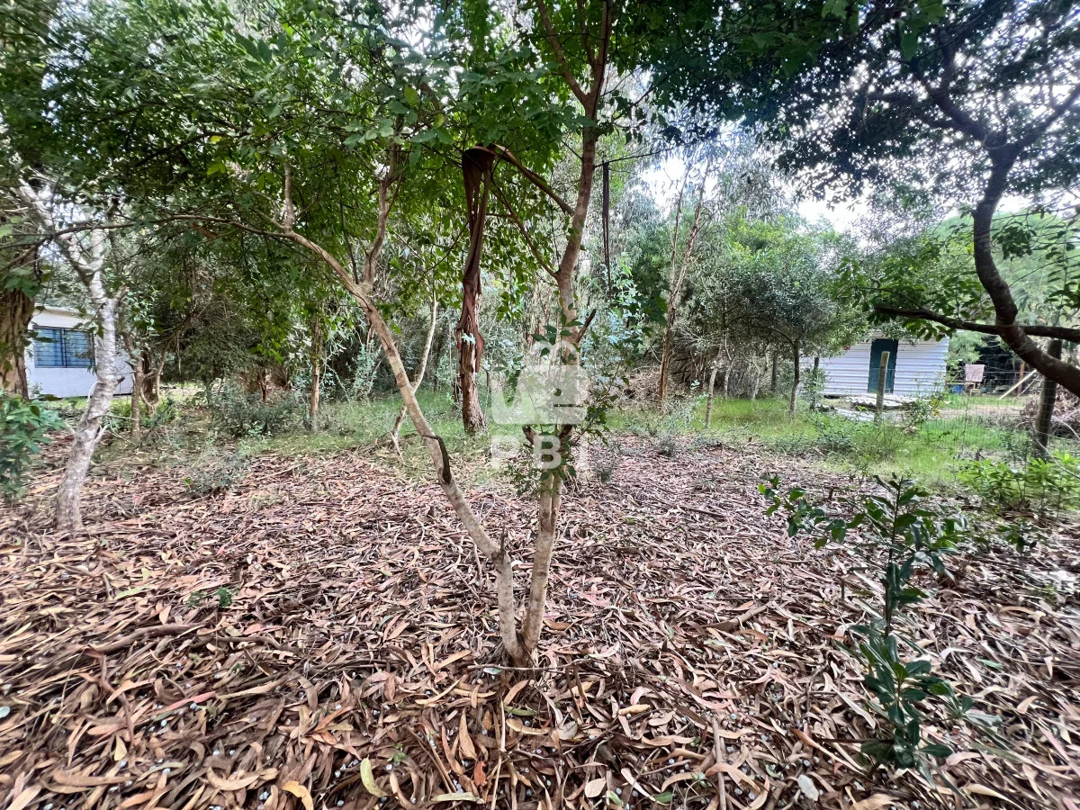 Terreno en Punta Negra, propiedad 62238 -Imagen 3