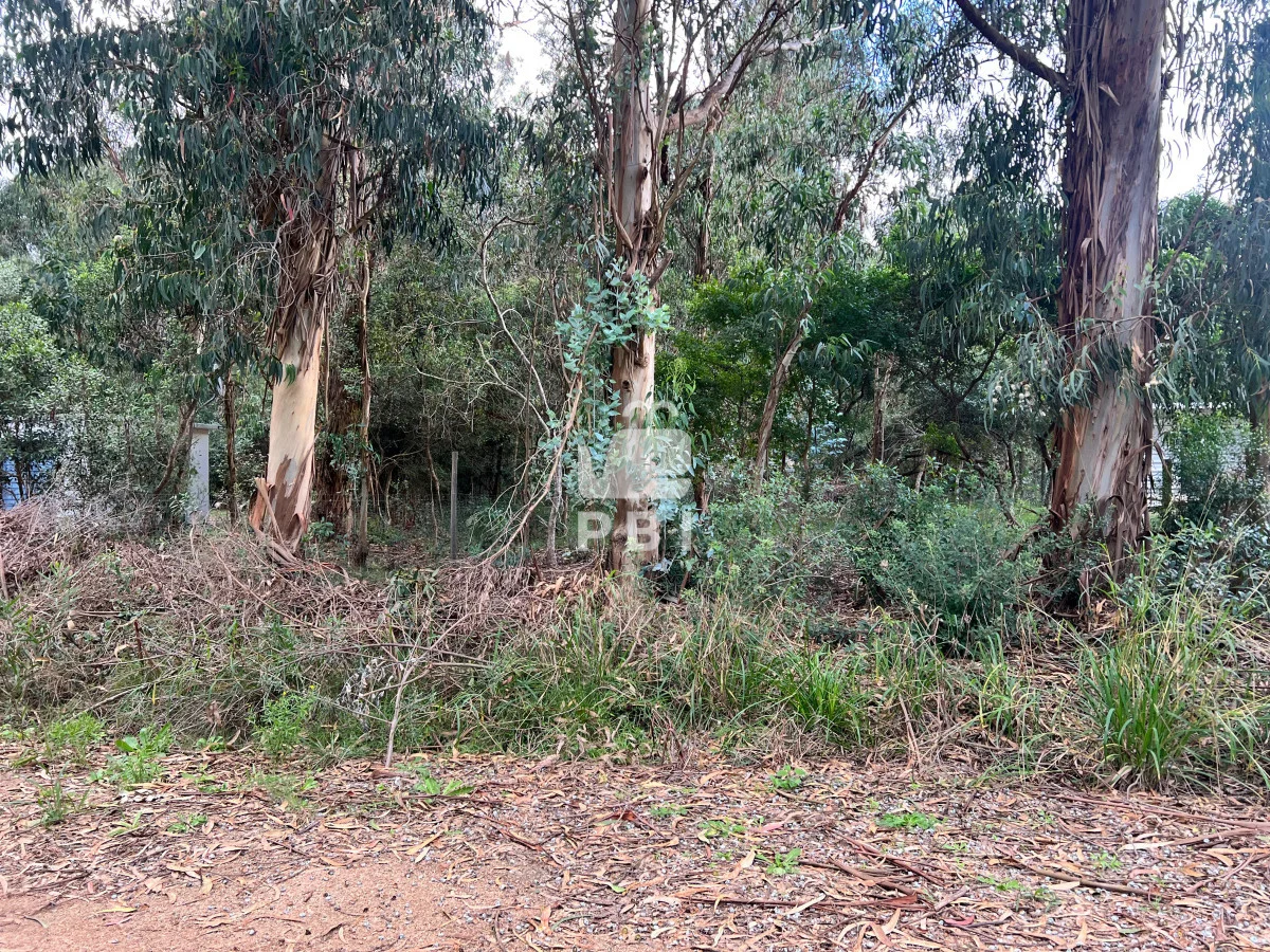 Terreno en Punta Negra, propiedad 62238 -Imagen 4