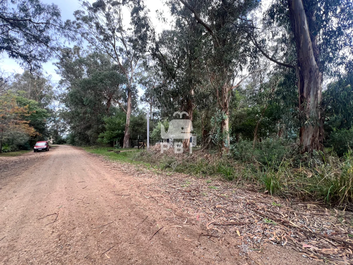 Terreno en Punta Negra, propiedad 62238 -Imagen 6