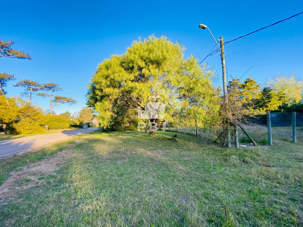 Terreno en Tio Tom, propiedad 62259 -Imagen 2