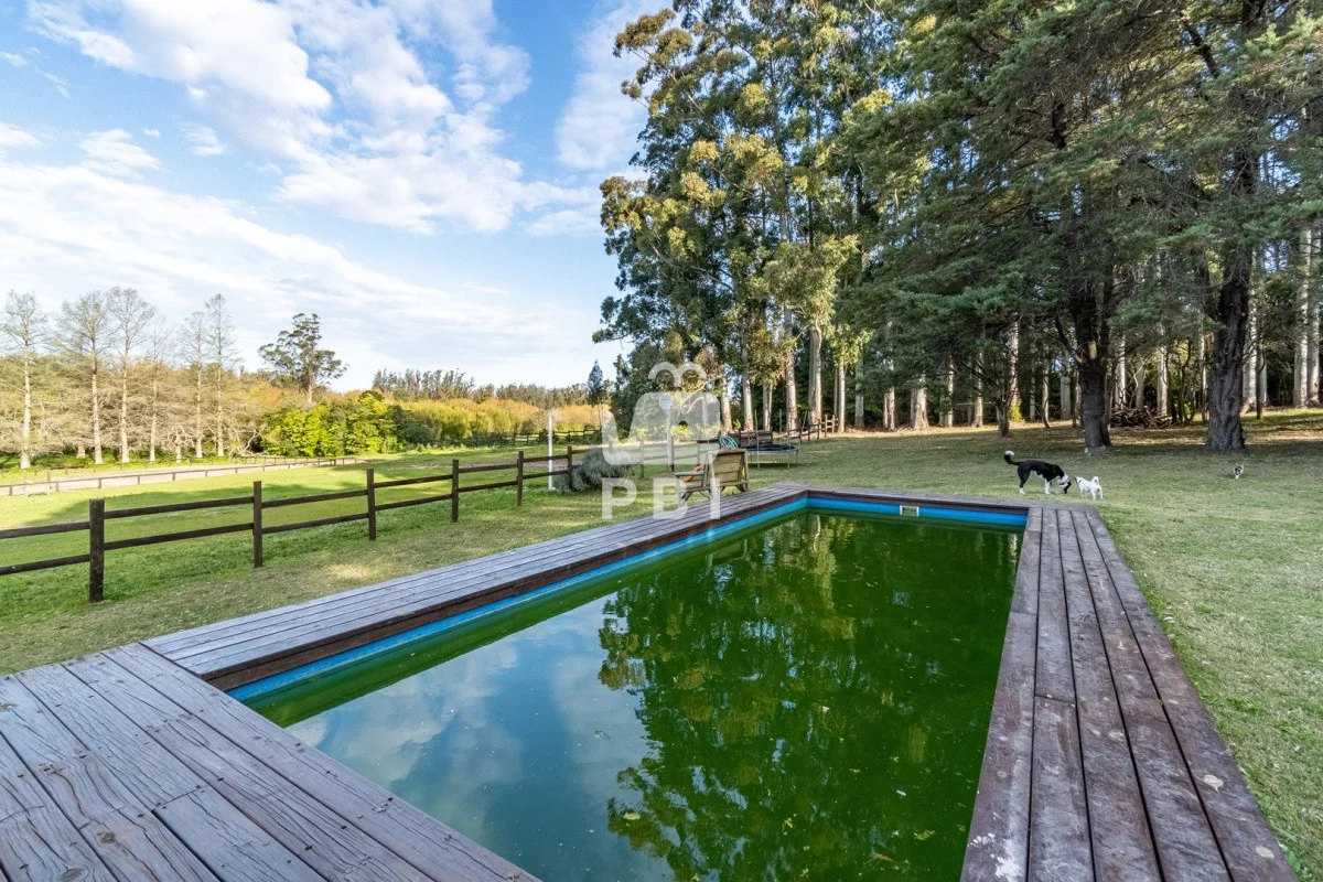 Casa en Punta Ballena, propiedad 62267 -Imagen 5