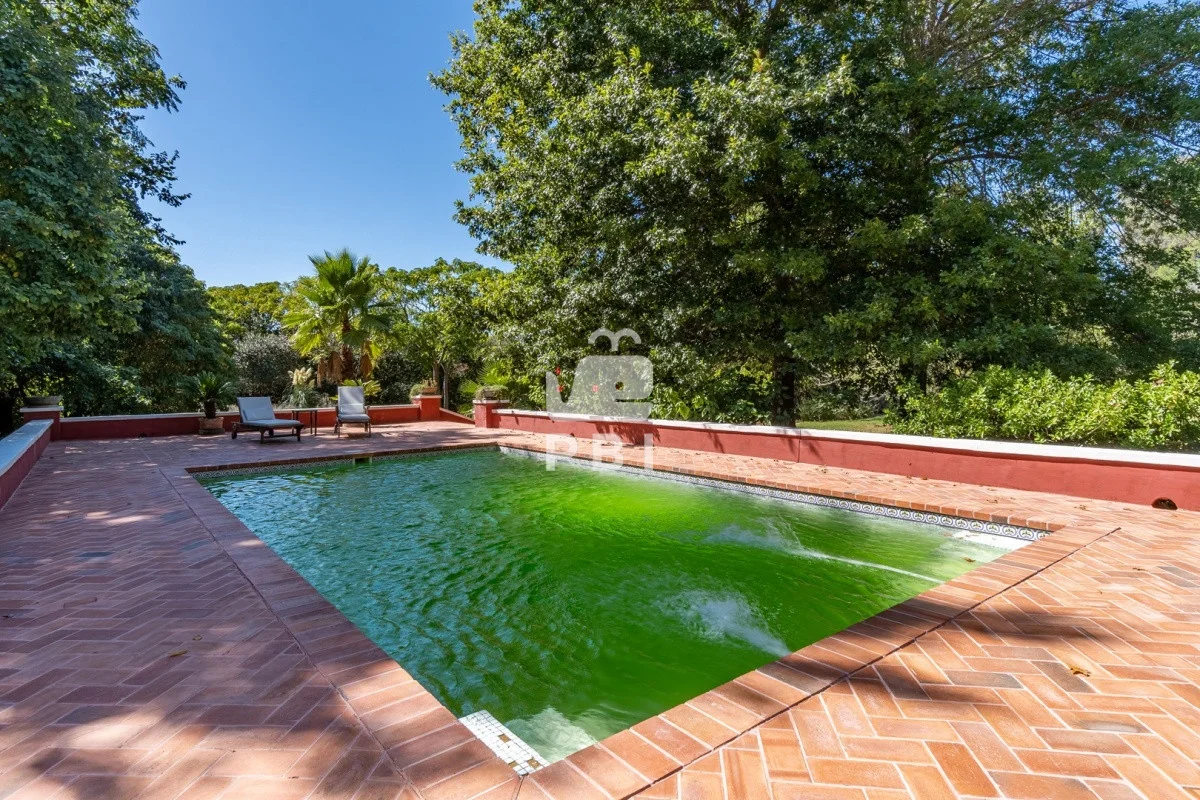 Chacra en Punta Ballena, propiedad 62370 -Imagen 17