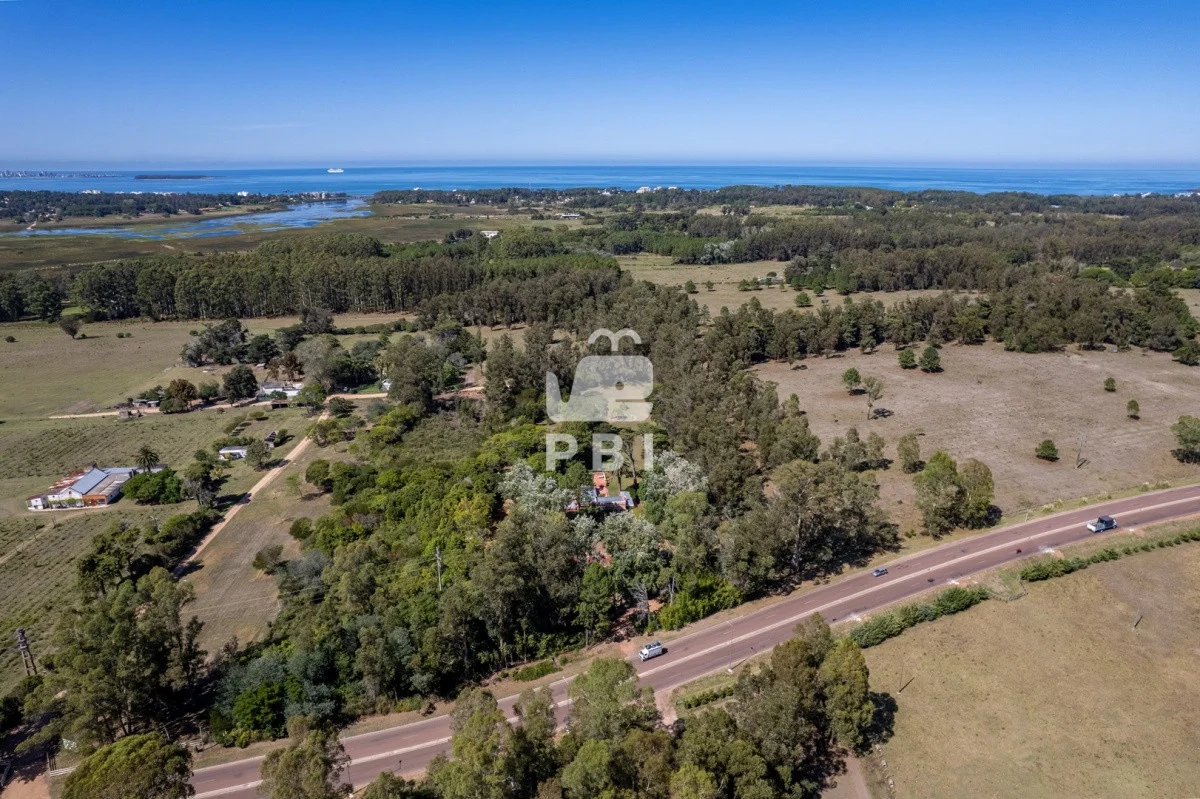Chacra en Punta Ballena, propiedad 62370 -Imagen 3