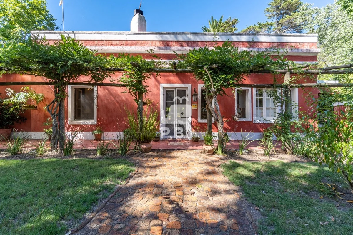 Chacra en Punta Ballena, propiedad 62370 -Imagen 4