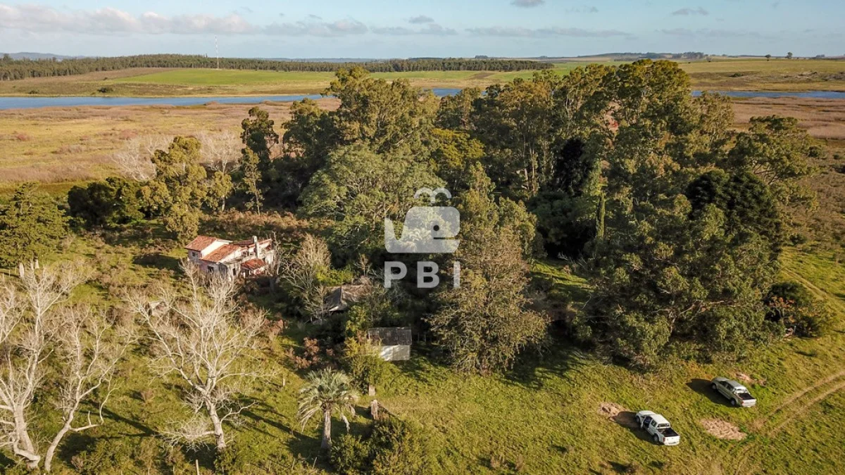 Chacra en Laguna del Sauce, propiedad 62377 -Imagen 11