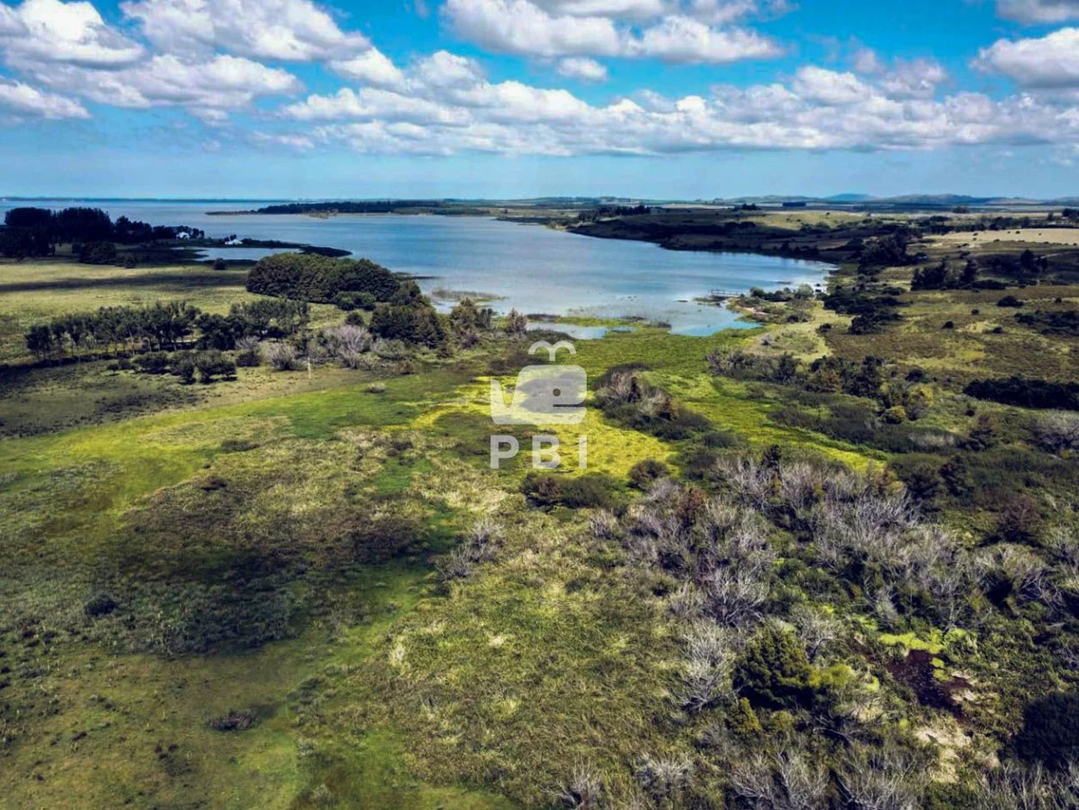 Chacra en Punta Ballena, propiedad 66010 -Imagen 3