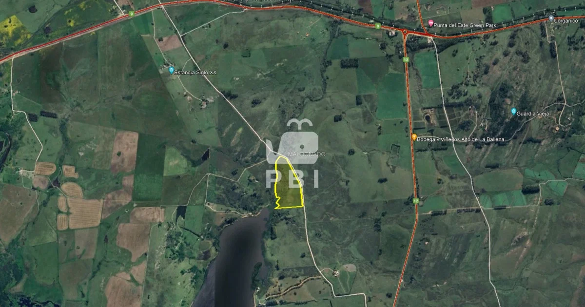 Chacra en Punta Ballena, propiedad 66010 -Imagen 4