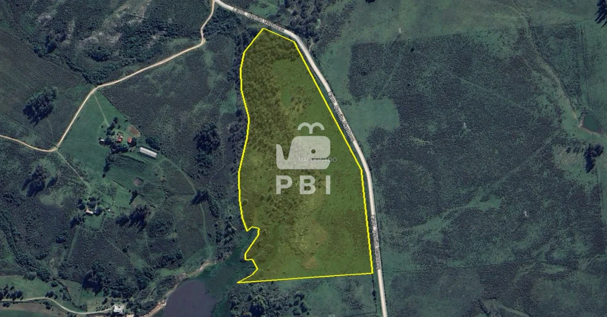 Chacra en Punta Ballena, propiedad 66010 -Imagen 5