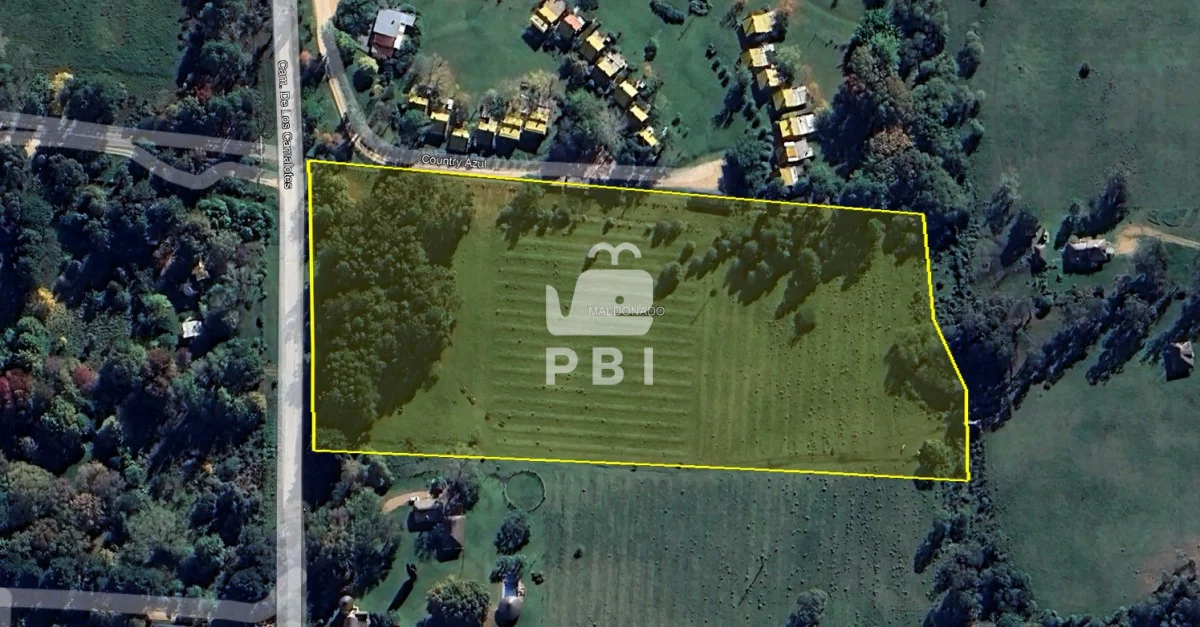 Chacra en Punta Ballena, propiedad 68411 -Imagen 7