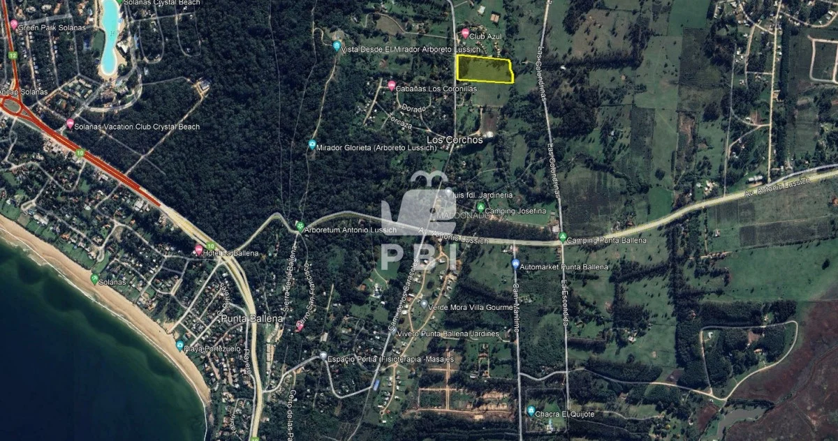 Chacra en Punta Ballena, propiedad 68411 -Imagen 8