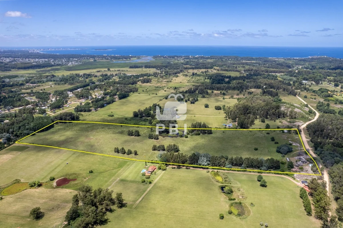 Chacra en Punta Ballena, propiedad 69461 -Imagen 4