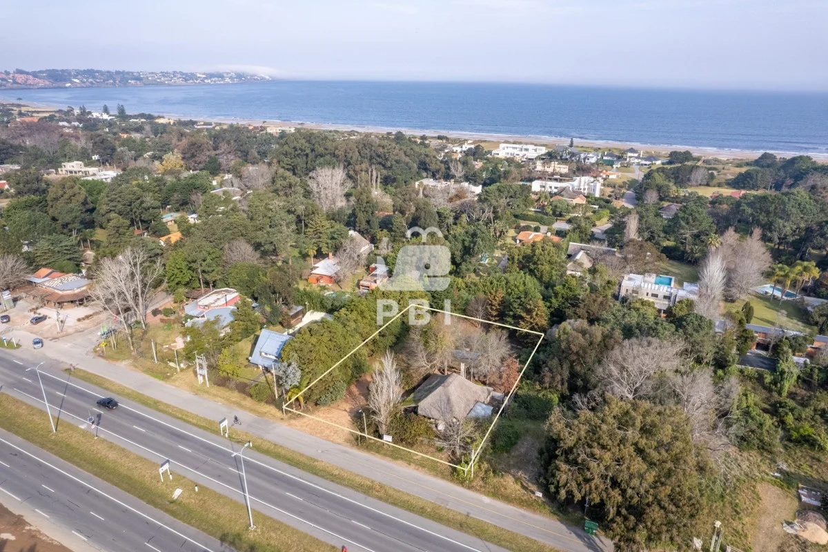 Local en Punta Ballena, propiedad 89421 -Imagen 3