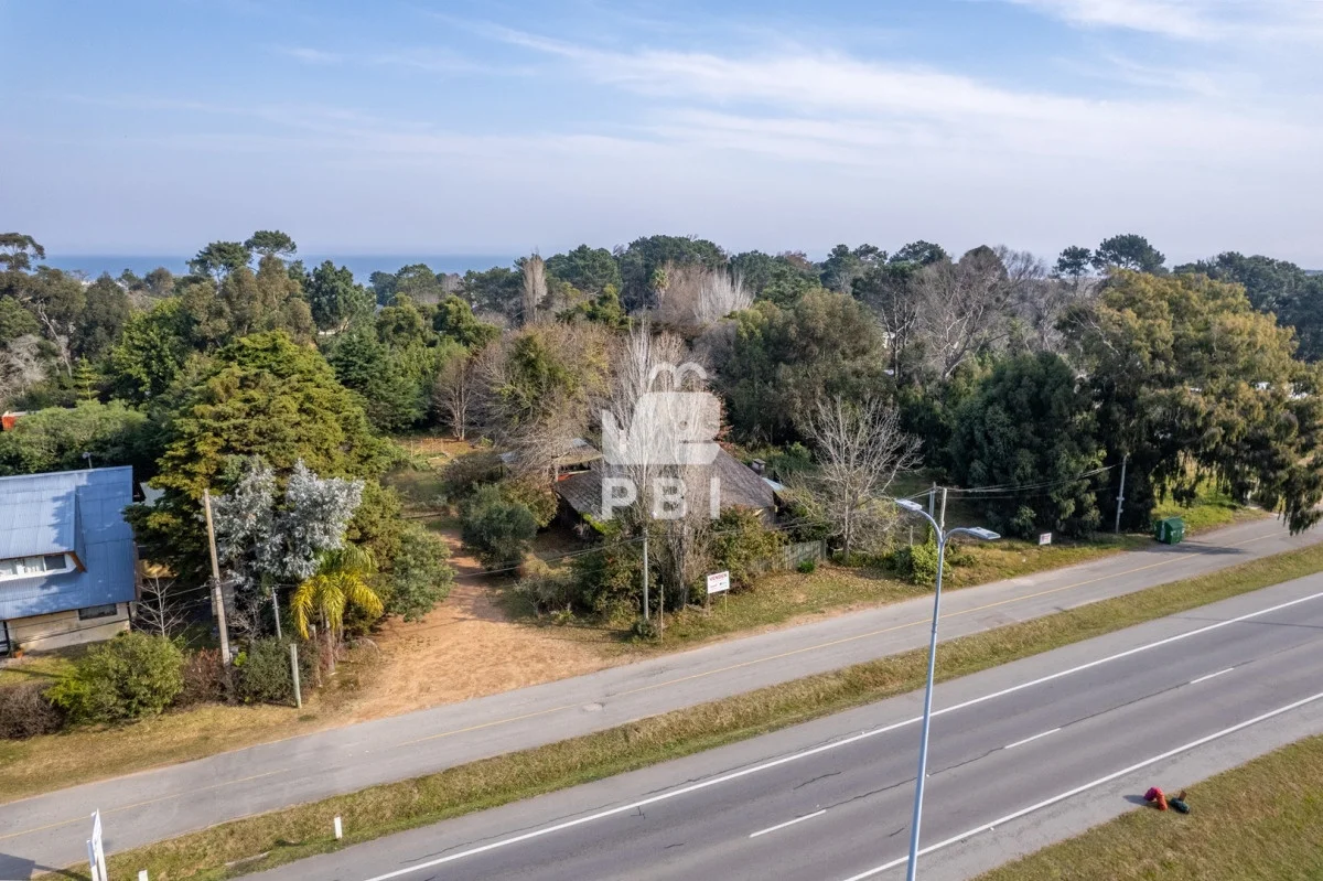Local en Punta Ballena, propiedad 89421 -Imagen 4