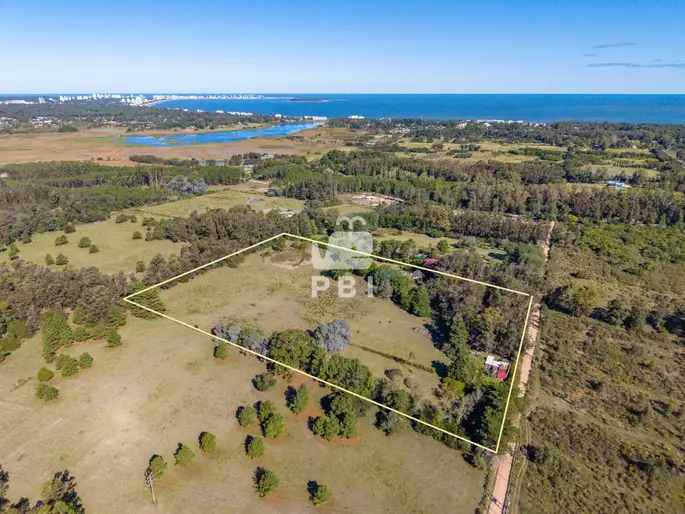 Chacra en venta en Camino Lussich, Punta Ballena - Ref : PBI15449